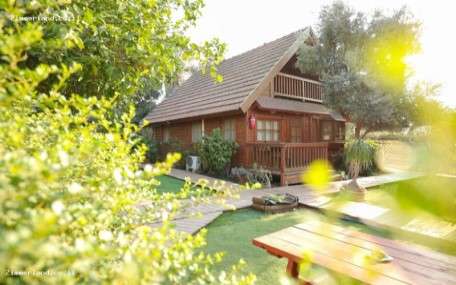 ארבל בתי קיט